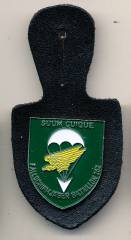 Pocket Badge Airborne Infantry Battalion 262 MERZIG, detailed eagle, painted, pinback, Hummel