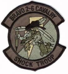 Aufnäher 2-6 Cavalry, Bravo Troop mit Flamme, tarn