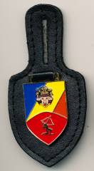 Pocket Badge Air Defense Regiment 14 (Air Defense Regiment 80) BASEPOHL, painted, no hallmark