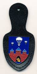 Pocket Badge Airborne Replacement Company 310 OLDENBURG, without border, pinback, Zinn