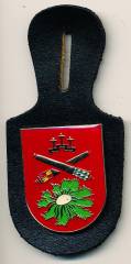 Pocket Badge Armored Artillery Battalion 355 WILDFLECKEN, painted/epoxy coated, pinback, Hummel