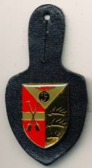 Brustanhänger Munitionsdepot PFLUMMERN, Stacheln, Schurig