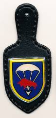Pocket Badge Airborne Infantry Battalion 314 OLDENBURG, printed, Wawersich