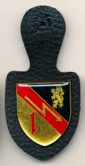 Pocket Badge Signal Battalion 970 MANNHEIM, gold, pinback, Andresen