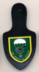 Pocket Badge Airborne Anti Tank Battalion 272 WILDESHAUSEN, painted, clutchback, Hummel