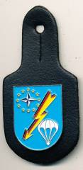 Pocket Badge Stabs-/Fernmelderegiment 4 REGENSBURG, painted, clutchback, no hallmark