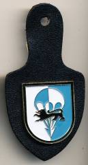 Pocket Badge Airborne Infantry Battalion 313 VAREL, painted, clutchback, Hummel