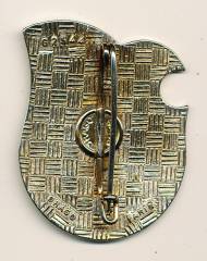 Abzeichen Frankreich 57. Regiment de Transmission, G2544, Drago