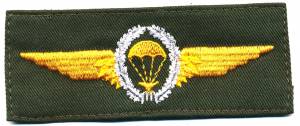 Fallschirmspringerabzeichen Deutschland, gold auf oliv, Kranz silber (Marine)