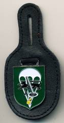 Pocket Badge Airborne Mortar Company 270 WILDESHAUSEN, painted, no hallmark