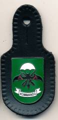 Pocket Badge 5./Airborne Infantry Battalion 313 VAREL, enamel, clutchback, Hummel