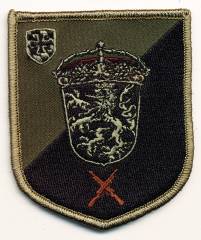 Patch 11./Home Defense Regiment 1 (HSchKp DONAUPFALZ), subdued, with velcro