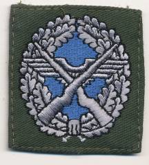 Tätigkeitsabzeichen Luftwaffensicherungstruppführer grau/blau auf olivgrün