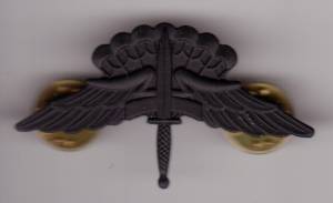 Fallschirmspringerabzeichen USA Freifaller, schwarz, Metall, basic