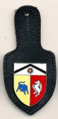 Pocket Badge Tank Destroyer Company 210 AUGUSTDORF, hard enamel, pinback, Zinn