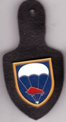 Brustanhänger Fallschirmjägerbataillon 314 Relief, Nadel, Hummel