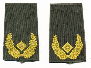 Schulterschlaufen Bundeswehr, Brigadegeneral, Heer, gold auf oliv, leicht gebraucht, 1 Paar