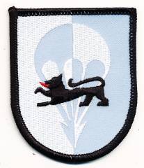 Aufnäher Fallschirmjägerbataillon 313 VAREL, ohne Klett