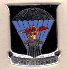 Unit Crest 101st Airborne Division Support Group, Stacheln, M21