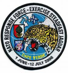 Aufnäher NRF Exercise Steadfast Jaguar 2006