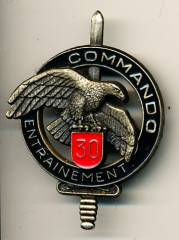 Metal Badge France, Commando Entrainement 30. Infantry Regiment, pinback, Delsart