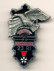 Metallabzeichen Frankreich, Centre Commando 23. Infanterieregiment, Delsart