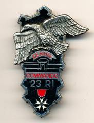 Metal Badge France, Centre Commando 23rd Infantry Regiment, Delsart
