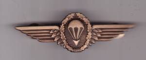 Fallschirmspringerabzeichen Deutschland, Metall, bronze, Originalgröße 75 mm breit