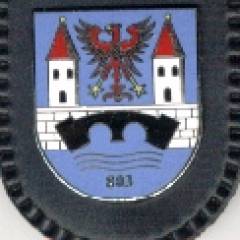 Brustanhänger Panzerpionierbataillon 803 Türme und Mauer weiß