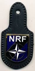 Brustanhänger NATO RESPONSE FORCE NRF transparent blau