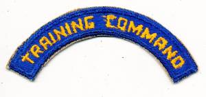 US Army Air Force Schriftzug TRAINING COMMAND - 2. WK