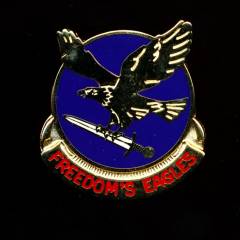 Unit Crest 17th Aviation Brigade, clutchback, S-21