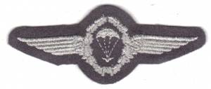 Fallschirmspringerabzeichen Deutschland, Heer auf grau, silber