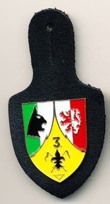 Brustanhänger 3./Panzeraufklärungsbataillon 2 HESSISCH-LICHTENAU, Relief, Stacheln, Hummel