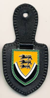 Pocket Badge Wehrbereichskommando V STUTTGART, painted, Neumeyer without hallmark