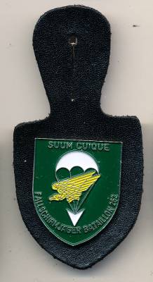 Pocket Badge Airborne Infantry Battalion 262 MERZIG, detailed eagle, painted, pinback, Hummel