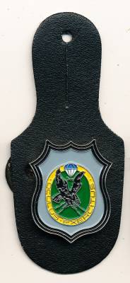 Pocket Badge LRRP Company 300 FRITZLAR, painted, pinback, Zinn