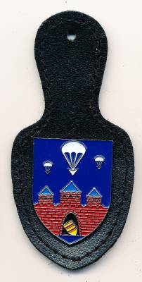 Pocket Badge Airborne Replacement Company 310 OLDENBURG, without border, pinback, Zinn