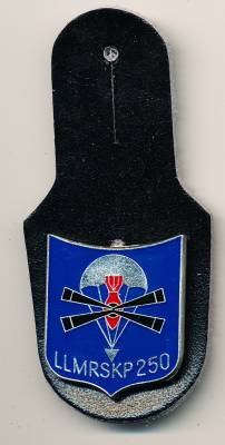 Pocket Badge Airborne Mortar Company 250 CALW, painted/epoxy coated, pinback, Rettenmeier