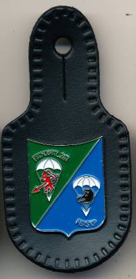 Brustanhänger 6./Fallschirmjägerbataillon 261 LEBACH, Relief, Stacheln, Hummel