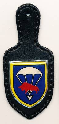 Pocket Badge Airborne Infantry Battalion 314 OLDENBURG, printed, Wawersich