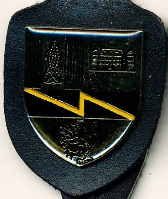 Brustanhänger Fernmeldekompanie 880 Relief/Kunstharz, Metzen Embleme
