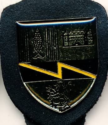 Brustanhänger Fernmeldekompanie 880 Relief/Kunstharz, Metzen Embleme