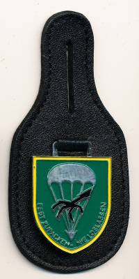 Pocket Badge Airborne Anti Tank Battalion 272 WILDESHAUSEN, parachute silver, no hallmark