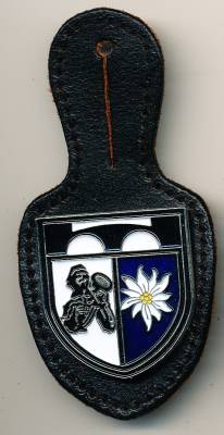 Pocket Badge Mountain Engineer Battalion 8 INGOLSTADT, painted, pinback, Zinn