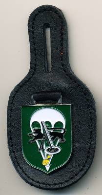 Pocket Badge Airborne Mortar Company 270 WILDESHAUSEN, painted, no hallmark