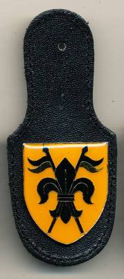 Pocket Badge Armored Cavalry Battalion 2 HESSISCH-LICHTENAU, pinback, Neumeyer