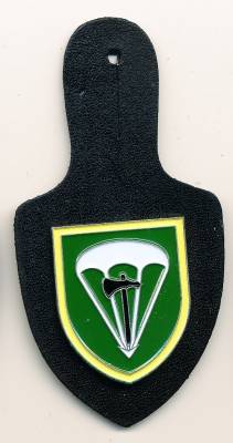 Pocket Badge Airborne Infantry Battalion 274 ISERLOHN, painted, pinback, Hummel