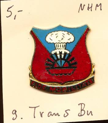 Unit Crest 9th Transportation Battalion, Stacheln, ohne Hersteller