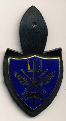 NATO Abzeichen CINCIBERLANT, Feueremaille, drei Stacheln